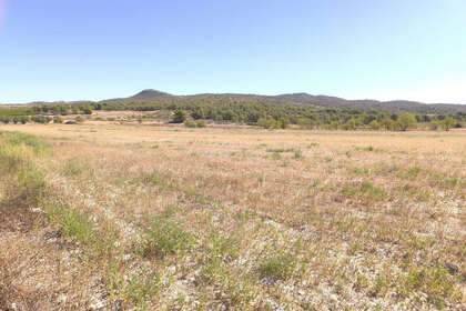 Grundstück/Finca zu verkaufen in Monóvar/Monòver, Alicante. 