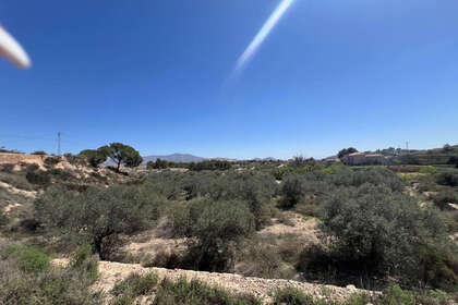 Grundstück/Finca zu verkaufen in Monóvar/Monòver, Alicante. 