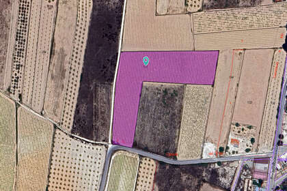 Grundstück/Finca zu verkaufen in Pinoso, Alicante. 