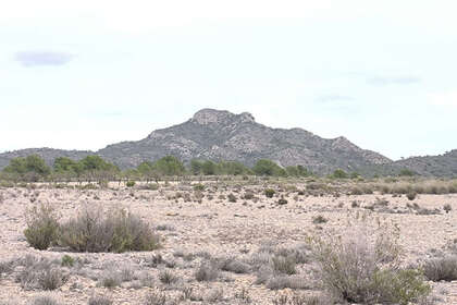 Plot for sale in Salinas, Alicante. 