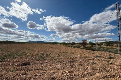 Grundstück/Finca zu verkaufen in Pinoso, Alicante. 