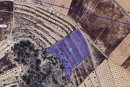 Plot for sale in Murcia. 