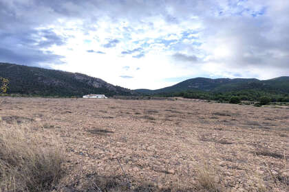 Ranch for sale in Yecla, Murcia. 