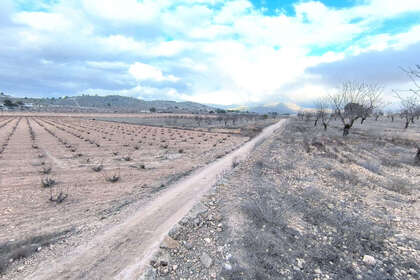 Plot for sale in Alicante. 