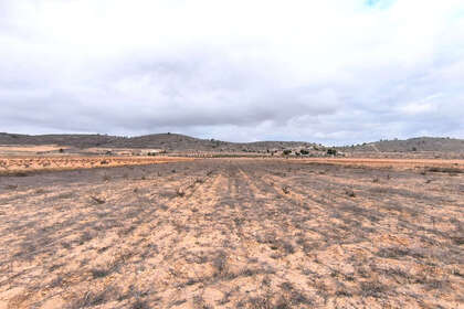 Plot for sale in Alicante. 