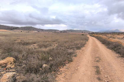 Plot for sale in Alicante. 