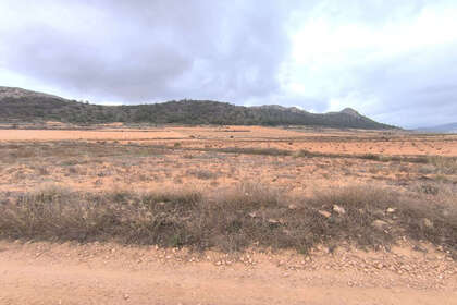 Plot for sale in Alicante. 