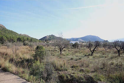 Plot for sale in Murla, Alicante. 