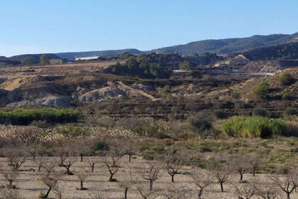 Ranch for sale in Orihuela, Alicante. 