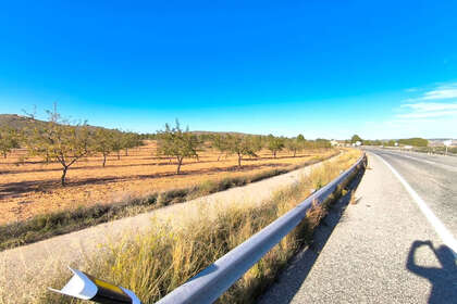 Plot for sale in Yecla, Murcia. 