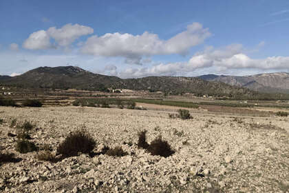 Plot for sale in Salinas, Alicante. 