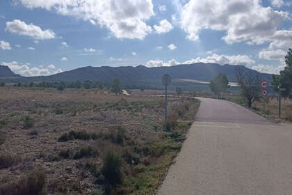 Plot for sale in Salinas, Alicante. 