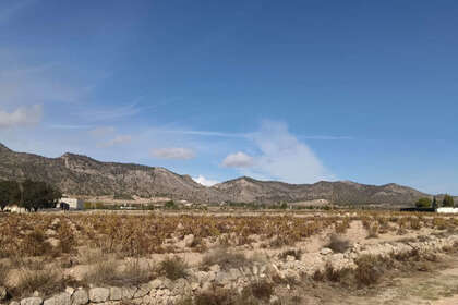 Plot for sale in Salinas, Alicante. 