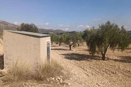 Plot for sale in Salinas, Alicante. 