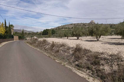 Plot for sale in Salinas, Alicante. 