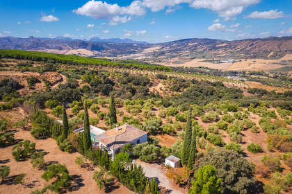 Ranch for sale in Ronda, Málaga. 