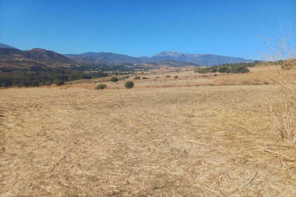 Enredo venda em Coín, Málaga. 