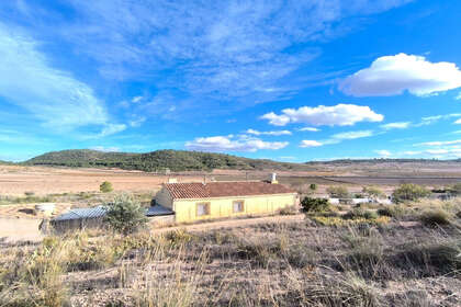 Ranch for sale in Yecla, Murcia. 