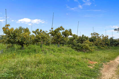 Reihenhaus zu verkaufen in Sotogrande, Cádiz. 