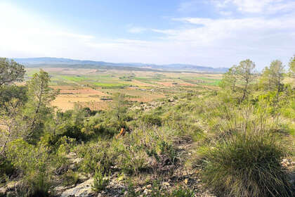 Grundstück/Finca zu verkaufen in Yecla, Murcia. 