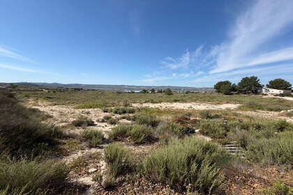 Enredo venda em Torremendo, Orihuela, Alicante. 