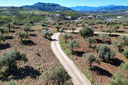 Enredo venda em Alora, Málaga. 