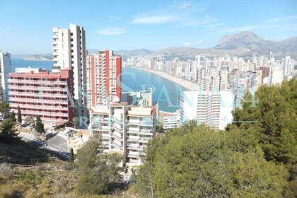 Grundstück/Finca zu verkaufen in Benidorm, Alicante. 