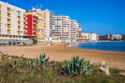 Apartamento venda em Torrevieja, Alicante. 