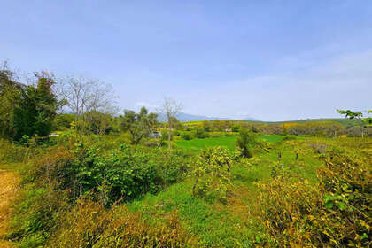 Ranch for sale in Coín, Málaga. 