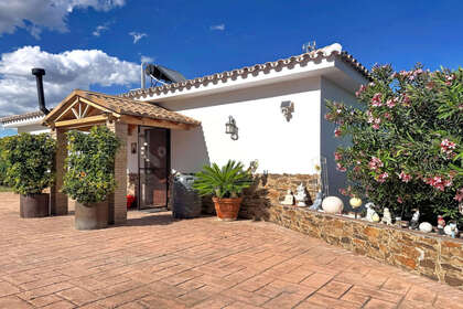 Ranch for sale in Estepona, Málaga. 