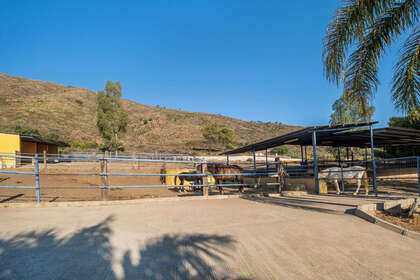 Ranch for sale in Mijas Costa, Málaga. 