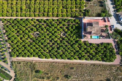 Ranch for sale in Orihuela, Alicante. 