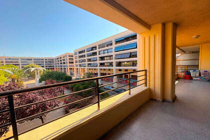 Apartment for sale in Guardamar del Segura, Alicante. 