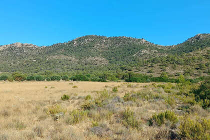 Plot for sale in Yecla, Murcia. 
