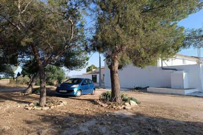 Ranch for sale in Yecla, Murcia. 