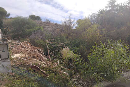 Plot for sale in Algorfa, Alicante. 