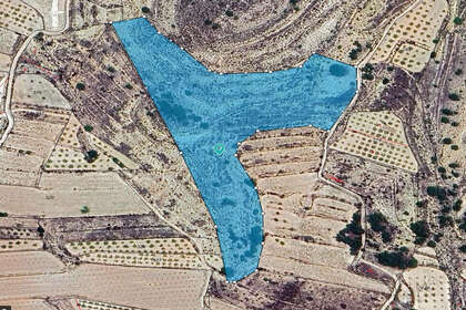 Plot for sale in Pinoso, Alicante. 