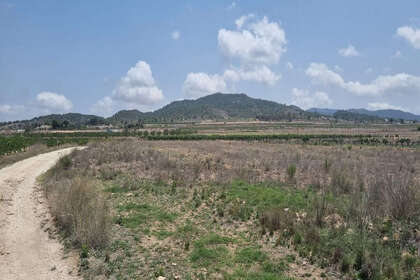 Plot for sale in Pinoso, Alicante. 