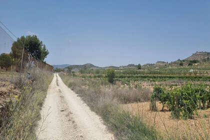 Plot for sale in Pinoso, Alicante. 