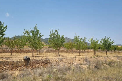 Plot for sale in Yecla, Murcia. 