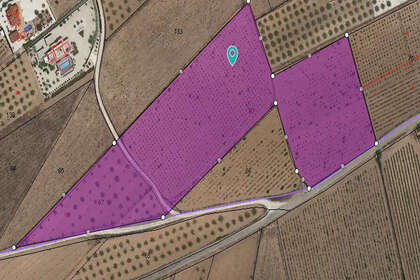 Plot for sale in Pinoso, Alicante. 