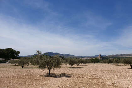 Parcelle/Propriété vendre en Sax, Alicante. 