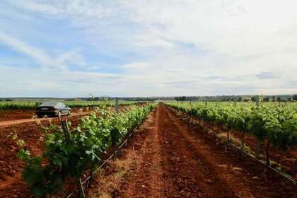 Grundstück/Finca zu verkaufen in Almendralejo, Badajoz. 