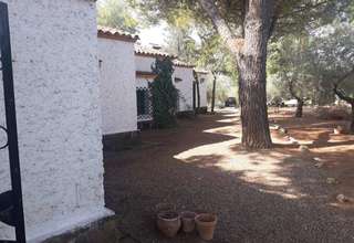 Rural/Agricultural land for sale in Bailén, Jaén. 