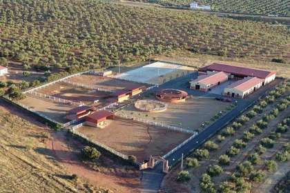 Inversión venta en Otros, Bailén, Jaén. 