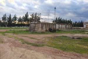 Rural/Agricultural land for sale in Travesia N-iv, Bailén, Jaén. 