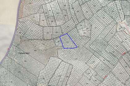 Rural/Agricultural land for sale in Bailén, Jaén. 