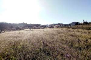 Rural/Agricultural land for sale in Benissa, Alicante. 