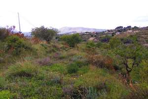 Plot for sale in Benissa, Alicante. 