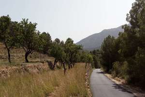 Terres agricoles vendre en Benissa, Alicante. 